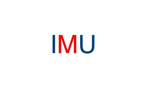 IMU