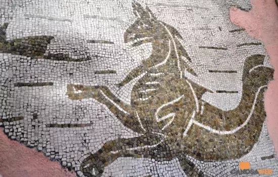 L'ppocampo delle Terme Romane di Canosa