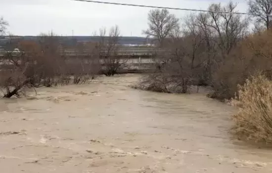 Piena dell'Ofanto gennaio 2019