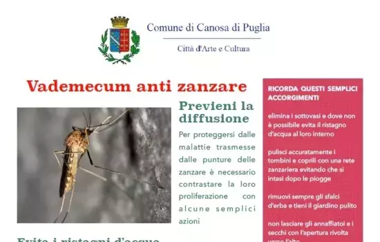 Manifesto antizanzare - Canosa di Puglia