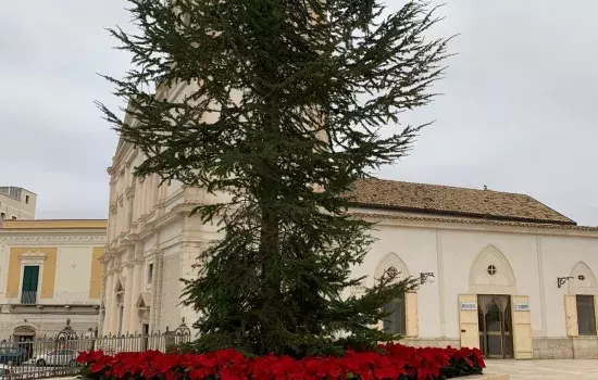 Canosa di Puglia - Albero di Natale Piazza Vittorio veneto
