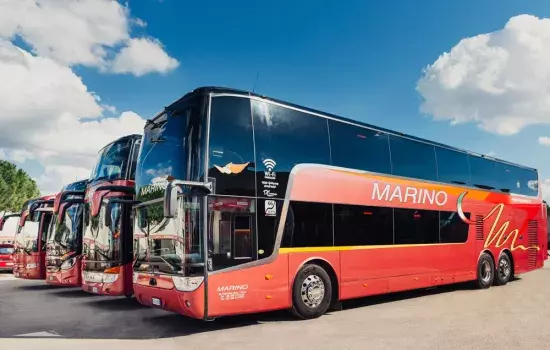 Marino Bus