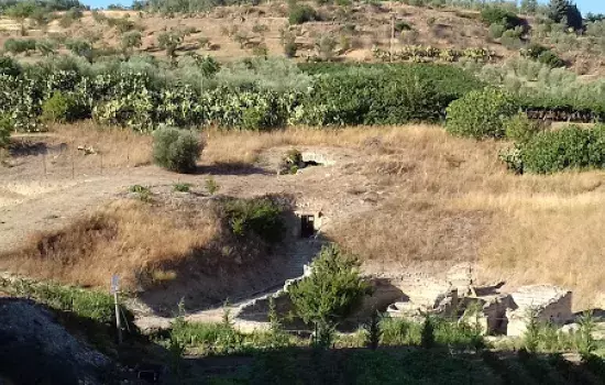 Canosa di Puglia  - xylella