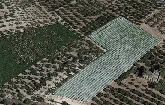 Agro di Canosa di Puglia