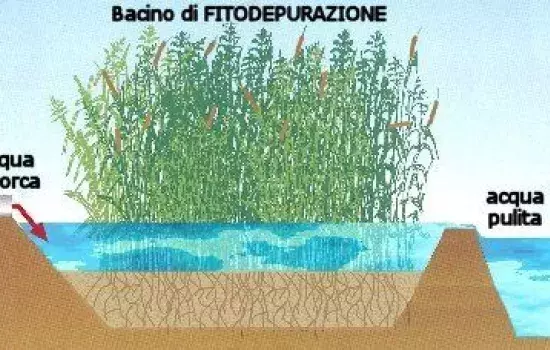 Canosa di Puglia - Nuovo impianto di fitodepurazione per la Borgata di Loconia.