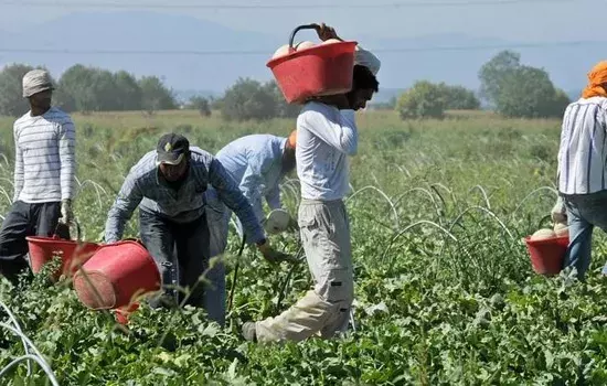 lavoro nei campi