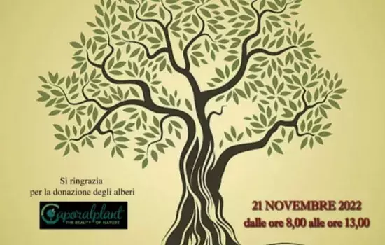 ll progetto verrà sviluppato negli Istituti Scolastici e nelle parrocchie