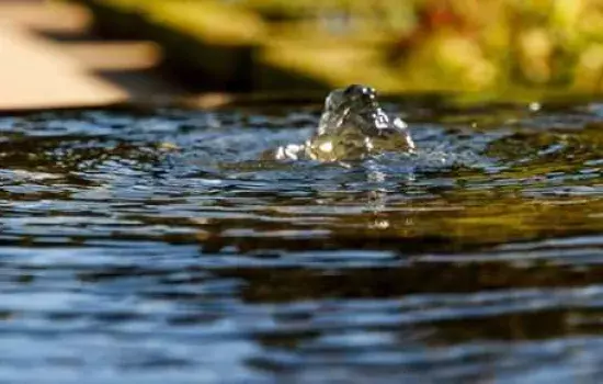 L’erogazione idrica nei giorni indicati sarà quindi garantita senza alcuna interruzione. Ulteriori novità saranno tempestivamente comunicate.
