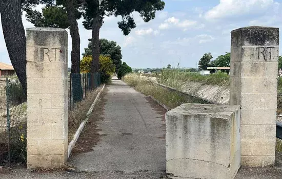 Le domande di contributo devono essere presentate entro e non oltre le 23:59 del 18 giugno 2023 secondo le modalità e termini previsti.