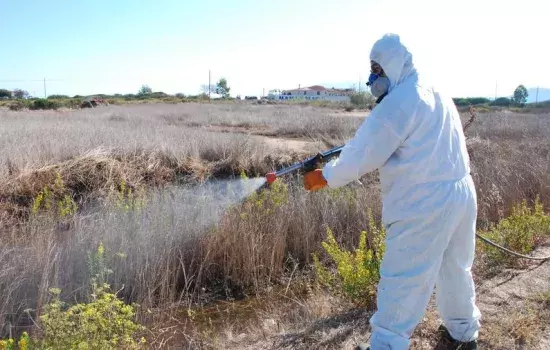 Ordinanza del Sindaco contro la diffusione del “West Nile Virus”