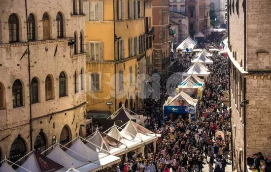 La domanda di partecipazione dovrà essere inoltrata all’indirizzo di posta elettronica certificata: sociale@pec.comune.canosa.bt.it entro le ore 13:00 del 06/10/2023