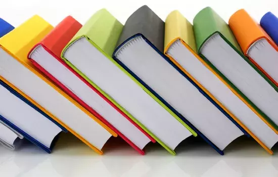 L’assistenza ed il supporto tecnico è assicurato dal lunedì al venerdì dalle ore 09:00 alle ore 13:00 e dalle ore 16,00 alle ore 18,00, per tutta la durata di attivazione della procedura di compilazione e invio delle istanze