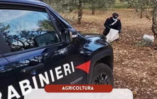 Le parole del Sindaco di Canosa di Puglia, dott. Vito Malcangio
