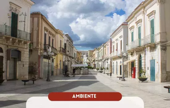 Si raccomanda di non conferire i rifiuti all’esterno al fine di evitare problemi di igiene e decoro urbano. La raccolta riprenderà regolarmente sabato 18 novembre