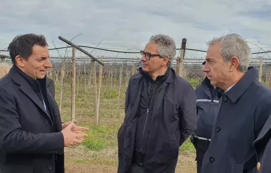 Il sopralluogo effettuato quest’oggi a Canosa rientra in un programma che ha visto e che vedrà la Commissione coinvolta in una missione nelle province di Bari, Bat e Foggia e che fa seguito all’incontro in Prefettura di ieri a Barletta