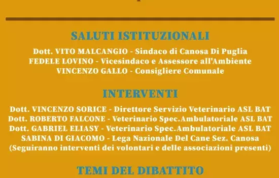“Randagismo - cosa  non funziona e quali sono le soluzioni”.  L’incontro, giovedì 23 maggio, al Palazzo di Città