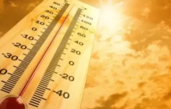 «Invitiamo lavoratori e lavoratrici – afferma la consigliera comunale con delega all’Agricoltura Lucia Masciulli, - ad un’attenta osservanza dell’ordinanza a tutela della loro incolumità»