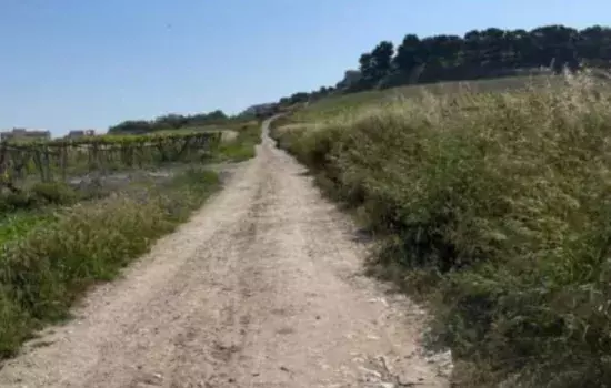 Ciascun intervento da 250 mila euro mira ad ammodernare le strade comunali extraurbane secondarie esistenti di esclusiva proprietà pubblica