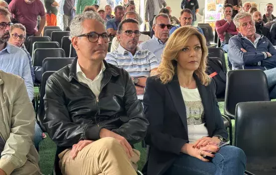 Puntare su quello che è un settore dominante, l’olivicoltura, è uno dei motivi che ha portato gli organizzatori a scegliere Canosa per la realizzazione della seconda edizione di “Olivo in campo” 