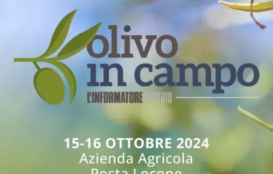 Quattro saranno i focus, di un’ora ciascuno, sui temi cruciali per il successo dell’olivicoltura