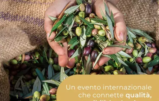 EVOLIO Expo” è una fiera internazionale che si rivolge a tutto il bacino mediterraneo, un evento formativo e di presentazione del nostro extra vergine di oliva, che permetterà anche ai visitatori di conoscere sia il nostro prodotto che il territorio.