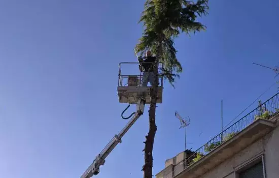 L’Assessorato al Verde Pubblico rende noto che sono in corso diversi interventi atti a migliorare il decoro urbano: il punto