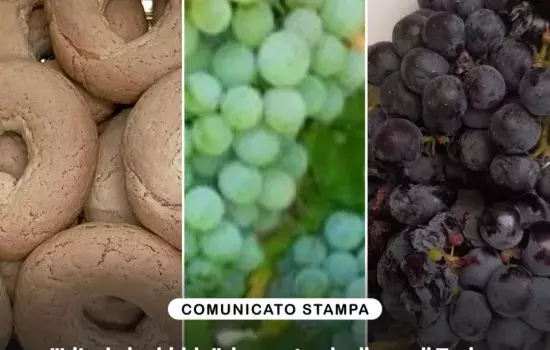 E’ questo quanto disposto con delibera n.00052 dal Dipartimento Agricoltura, Sviluppo Rurale ed Ambientale - Sezione Competitività delle Filiere Agroalimentari -  Servizio Associazionismo Qualità e Mercati della Regione Puglia