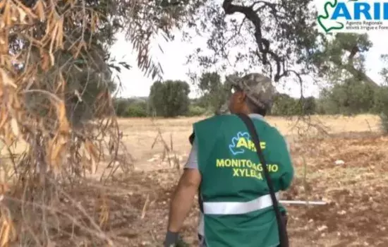  Le operazioni, in ogni sua fase, non comporteranno alcun elemento invasivo o distruttivo, se non l’ingresso nei fondi agricoli da parte degli assistenti fitosanitari
